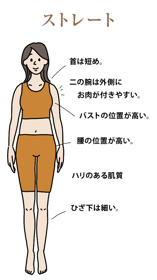 骨格ストレートタイプの特徴の画像