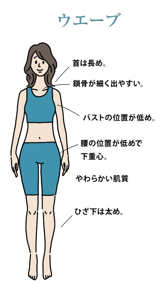 骨格ストレートタイプの特徴の画像