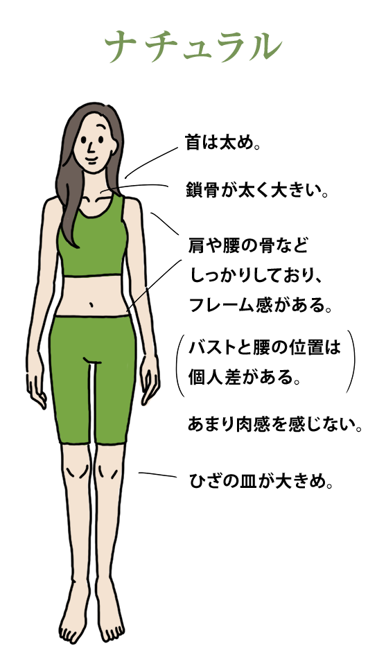 骨格ストレートタイプの特徴の画像