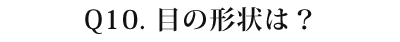 10 目の形状は?