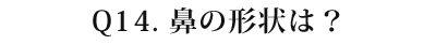 14 鼻の形状は?