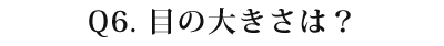 06 目の大きさは?