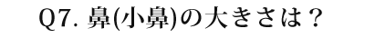 07 鼻(小鼻)の大きさは?
