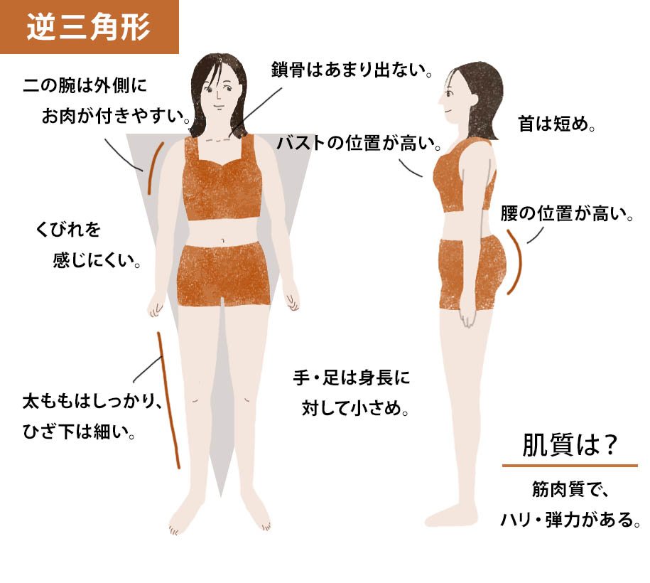 骨格ストレートに合わせたファッション提案するページの看板画像