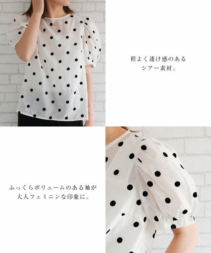 ドット柄シアーブラウス レディース｜パフスリーブで華奢見え＆今っぽ